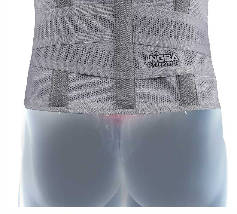 Waist Support Belt for Weightlifting & Training
